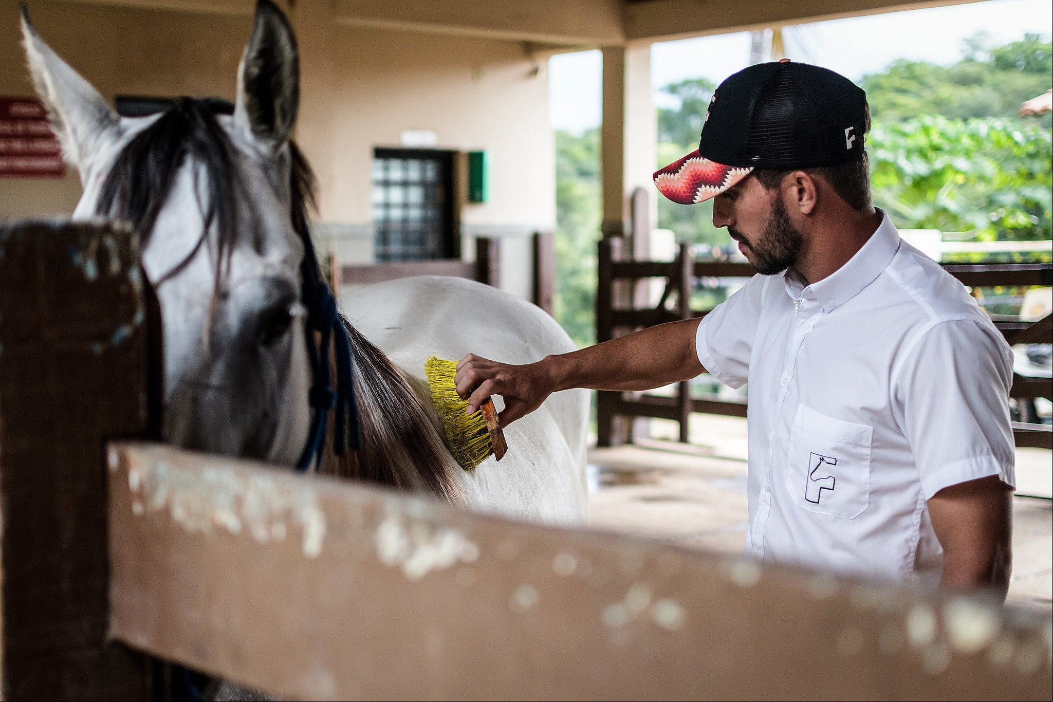 Lucas Silva tem cavalos da raça Quarto de Milha