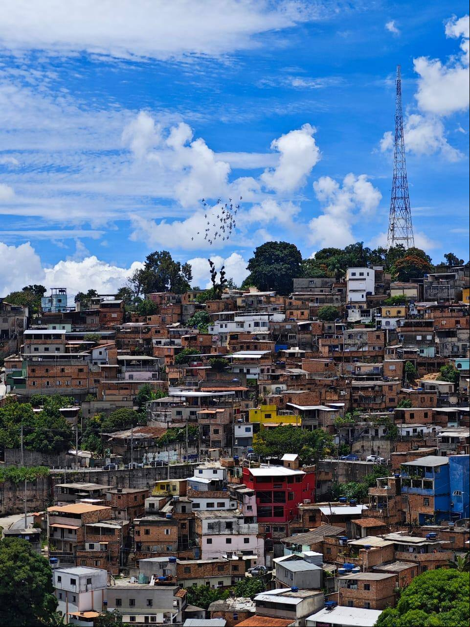 O Aglomerado da Serra está localizado na região Centro-Sul de BH